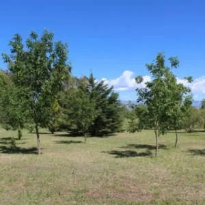 Terreno en venta Ciudad Parque Los Reartes. Córdoba